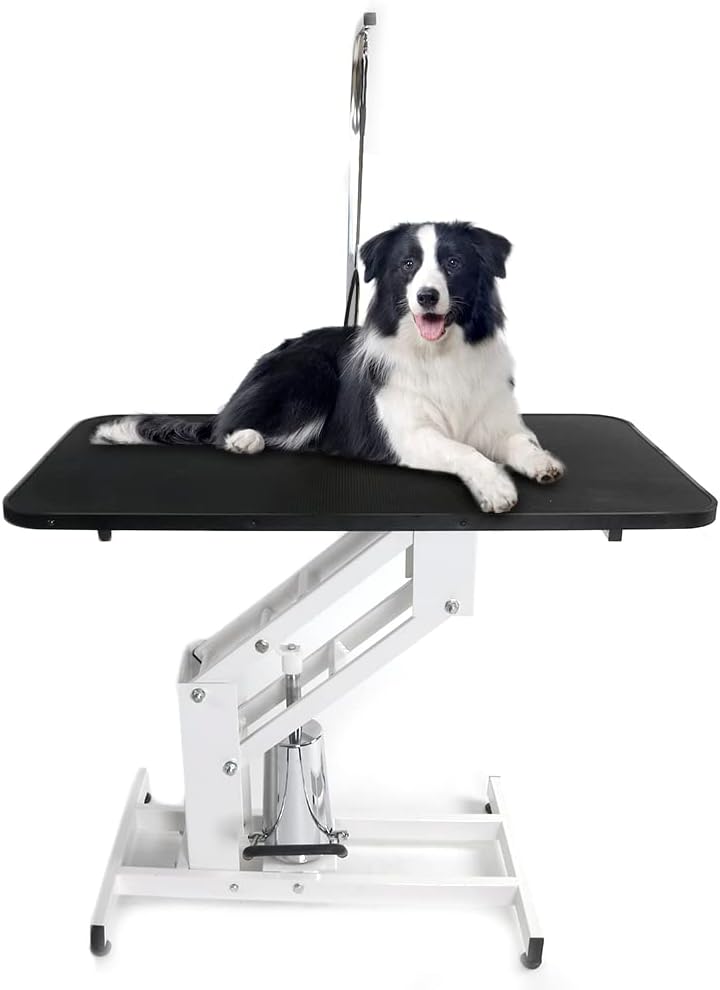 Bonnlo Hydraulic Dog Grooming Table, Professional Heavy Duty Grooming Table for Dogs, Trimming Table Drying Table w/Arm/Noose