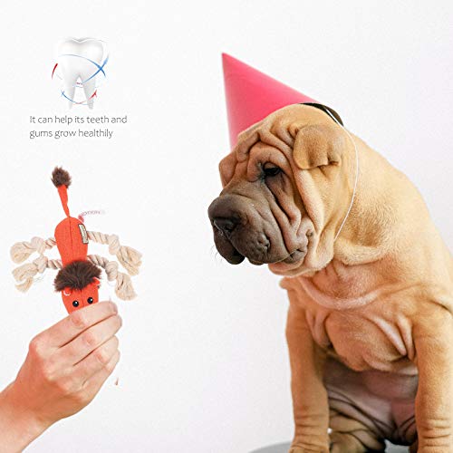 TEHAUX Brinquedo de cachorro que range animal de estimação Cachorro de brinquedo de mascar brinquedo