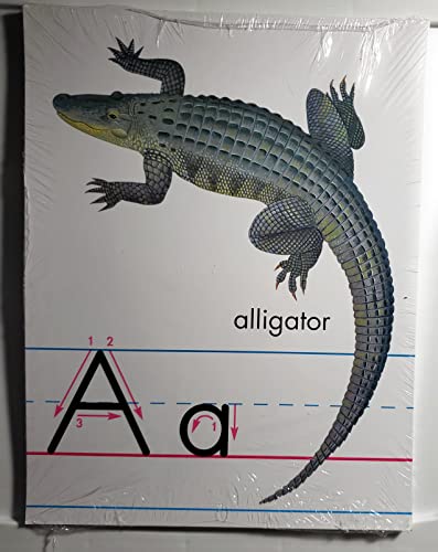 ZB Set of Large Alphabet Cards