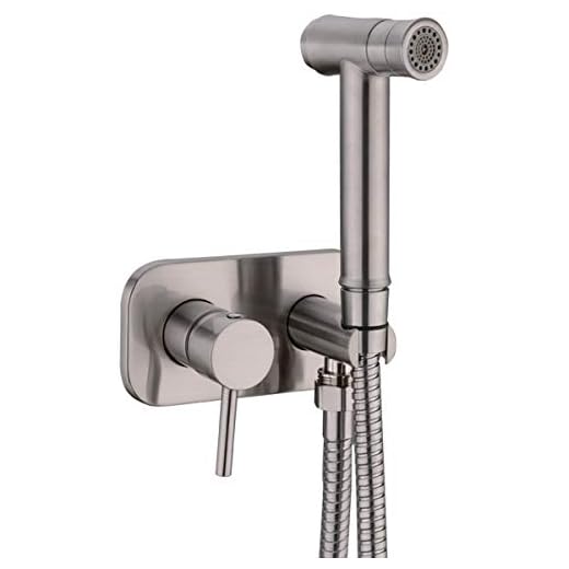 TRUSTMI Toilet Concealed Hot and Cold Bidet Spray Set,Brushed Nickel