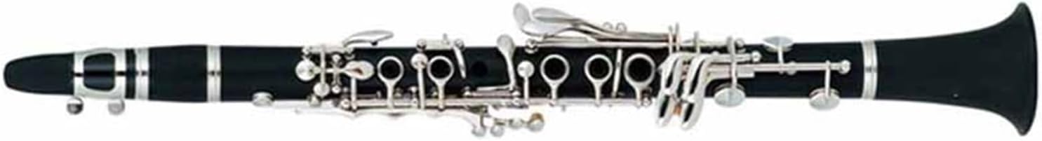 Clarinet 17 Keys Beginner Hard Rubber Tube