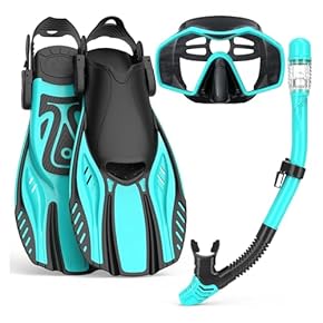 Amazon.co.jp: シュノーケル・軽器材セット - ダイビング