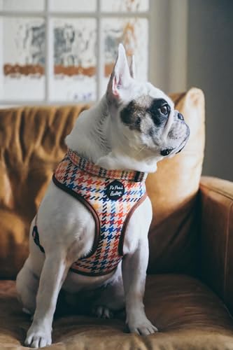 Lionheart Houndstooth Dog Harness L - Image 2