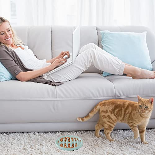 image for Maitys 2 Pack Cat Slow Feeder Bowl Slow Feed Cat Dish Fishbone Cat Slo