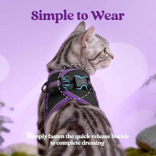 Image of rabbitgoo Cat Harness and Leash Set, Step-in Soft Vest, Black & Purple