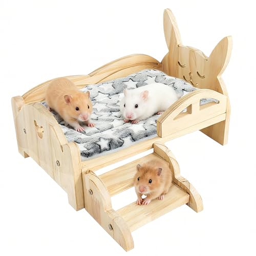 Cama de hámster elevada de madera para evitar suelos fríos 2
