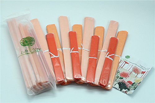 Life Glow 12Pcs Pompons de 10