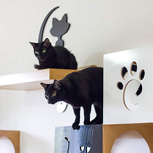 Carlu Pet House - Indoor Circuit Preto