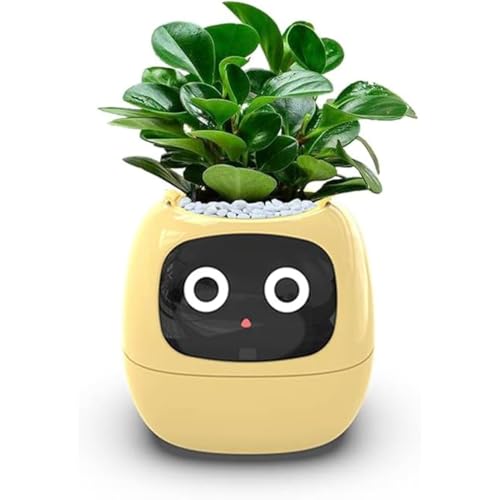 Kwueiit スマートフラワーポット、スマートフラワーポット、ペット植木鉢植栽ロボット植物世話ガイド時間温度表示植木鉢屋内園芸 フラワー、スマートプラスチック樹脂屋内フラワー、自動吸水フラワー (イエロー)
