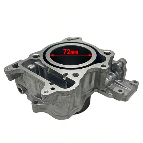 Cilindro SH300cc para reparar la pérdida de compresión en motores NSS300 y Fo300 4