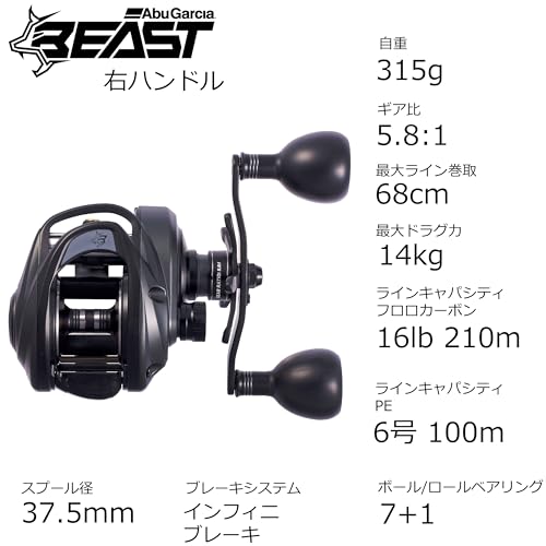 Abu Garcia (アブガルシア) ビースト LP ビースト 300 ベイトリール ロープロ バス ソルト 怪魚 ビッグゲーム 3枚目
