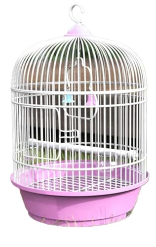 fancyflyXeX|^ ~` IE//RSECR/ZLZCCRp ړ piZbg x_/fXNuΉ (sN)