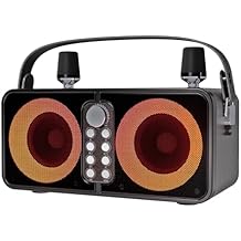 Karaoke Machine with 2 Wireless Microphones, Portable Bluetooth Speaker with LED Lights