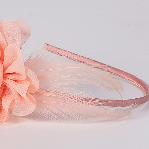 Fasbuy Fascinator Hat For Women Feather Floral Kentucky Fascinator Tea Party Cocktail Headband Derby Hats Pink #TOP5