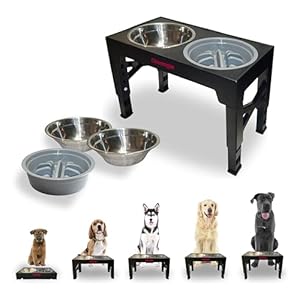 5-Tier Elevated Dog Bowls, Feeding Station Holder with 2 Stainless Steel +1 Slow Feeder Bowls Elevated, Water & Food Bowl Stand, Raised Dog Bowl Stand for Medium Size, Small & Large Breed