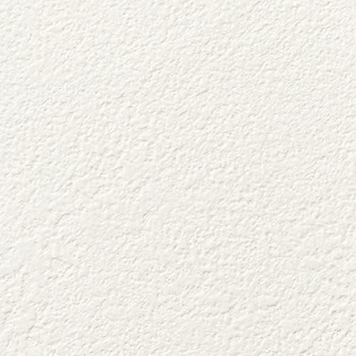 サンゲツ Sp2840 生のり付き壁紙 糊つき 量産クロス 旧 Sp9504 塗り調 N Sp2840 サンゲツ Sp2840 生のり付き壁紙 糊つき 量産クロス 旧 Sp9504 塗り調 N Sp2840