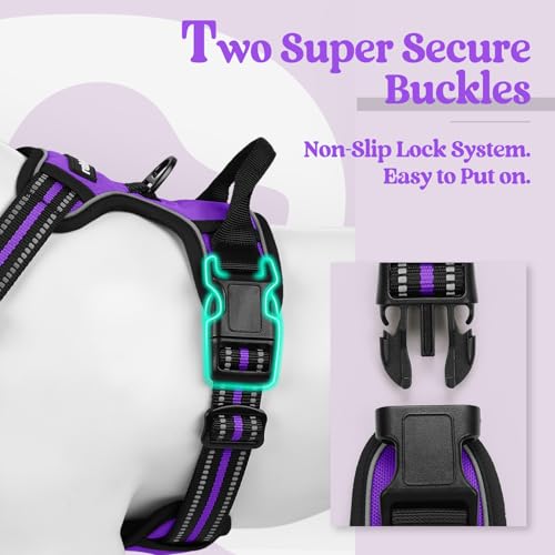 rabbitgoo Dog Harness, No-Pull Pet Harness with 2 Leash Clips, Adjustable Soft Padded Vest, Reflective No-Choke Pet Oxford Vest with Easy Control Handle for Medium Dogs, Purple, M by rabbitgoo - Image 4