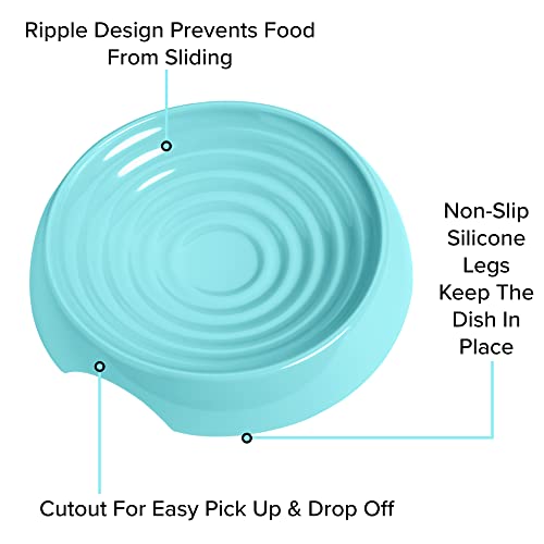 CatGuru Cat Bowls, Whisker Friendly Food Bowl for Indoor Cats, Reliefs Whisker Fatigue, Wide Kitten Dish, Non Slip Pet Dishes, Shallow Pet Plates (Aruba, (Pack of 2)) by CatGuru - Used condition - Image 4