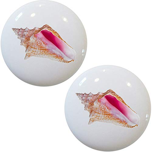 Carolina Hardware and DecorSet of 2 Caribbean Conch Seashell Ceramic Cabinet Drawer Knobs