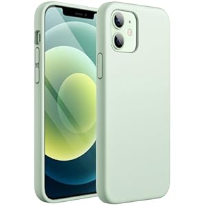 JETech Silicone Case for iPhone 12 Mini 5.4-Inch, Silky-Soft Touch Full-Body Protective Phone Case, Shockproof Cover with Microfiber Lining (Light Green)