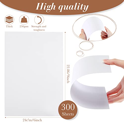 Seajan 300 Sheets White Cardstock 6 X 9 Blank Heavy Weight Printer Paper For Invitation Thick Paper 93Lb Cover 250Gsm Card Stock For Printer Index Cards Cover Postcards Blank Index #TOP1