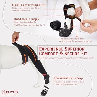 BUVUB Dog Canine Knuckling Brace Rear Leg Boot with Adjustable Dial for Toe Dragging Cause by Sciatic Nerve Insufficiency, Myelopathy, Herniated Disc (Small, Size 2)