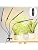 4Head Strong Clip Grow Lights for Indoor Plants, Seed Starting, Bonsai, 4/8/12/16/20H Timer, 36 Watt Power Draw, NO Need Adapter, Bright and Big Coverage, Best Gift for Plants Lover