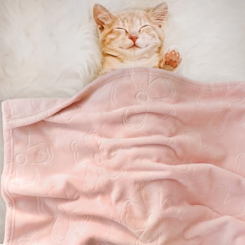 Image of BORITAR Baby Blanket for Girls Ultra Soft Cozy Fleece Baby Blankets, Warm and Lightweight Toddler Blanket with Elegant Floral Printed for Bed Stroller Crib Travel, 30x40 Inch, Pink