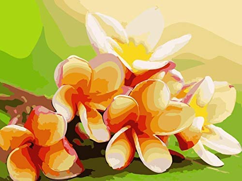 HOC: DIY Wooden Frame of Flower Paint by Number Kit for Adults Size: 16x20 in. All Levels: Beginner, Intermediate, Advance. Paint Included Fun for Adults and Children.