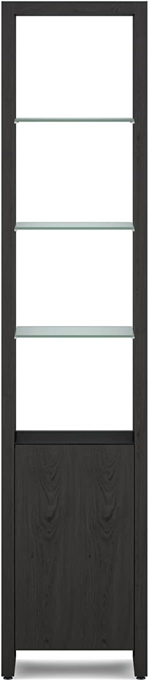 BDI Furniture Linea Shelf 5801-83.75" x 18 Leaning Shelf for Living Room, Family Room or Office with 5 Polished Tempered Glass Shelves, Charcoal Stained Ash