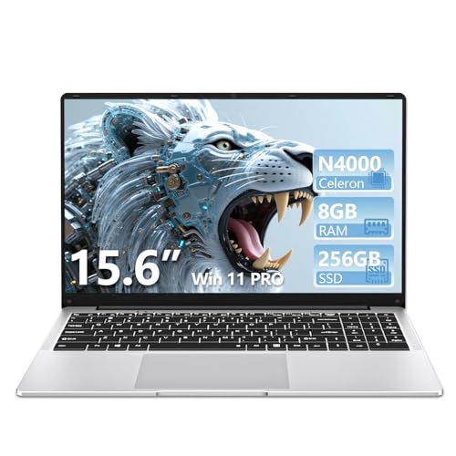 DIAKUOE 15.6 pollici Notebook, Win11 PC Portatile Celeron N4000 CPU,