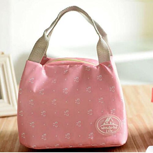 Ladies Portable Thermal Insulated Lunch Bag for Picnic