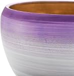 SOUJOY Ensemble de 3 Pots de fleurs en céramique, pot de jardinage avec trous de drainage et de soucoupe, 7/5/4 pouce Planter de cactus pour l'intérieur extérieur