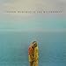 Andrew McMahon In The Wilderness [LP]