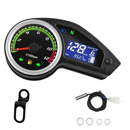 Xs[h[^[^R[^[tfW^v푖svg_bV{[huW`It[h CG  GY200 Gf[ 250 2023 Xs[h[^[(With bracket)