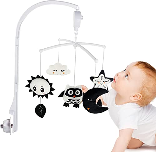 xr[xbĥ | xr[xbhpnMO xr[ oC - Ԃ̕Ki Ɣ̓̏ Ԃ񂪖ɂ̂ɖ𗧂܂ m\̔B