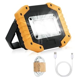 flintronic Rechargeable LED Work Light, 30W Portable COB Floodlight Waterproof Camping Lights, 3 Modes 2000LM Security Lights Outdoor for Garage Hiking Fishing Emergency (Batteries Included)