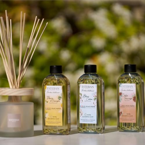 Recharge pour Bouquet parfumé Cèdre Sauvage 200 ML diffuseur bâtonnets parfum maison boisé