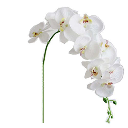 Ximkee 1 X Artificial Butterfly Orchid Flower Plant Home Decor Fuchsia (1Pcs, White) #TOP21