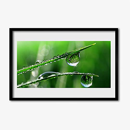 Affiche encadrée 60x40 cm pour habiller un mur vide cadre en MDF motif herbe et rosée