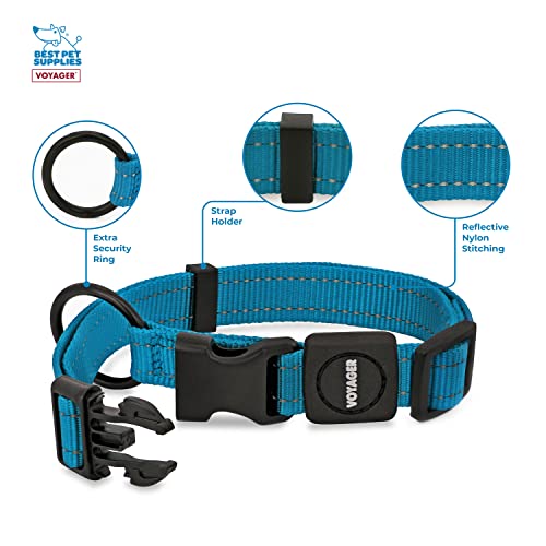 Best Pet Supplies Reflective Dog Collar With Adjustable Length, Heavy-Duty Buckle, And Strong Leash D-Ring, Training, Walking, Jogging Accessory For Small, Medium, And Large Breeds - Turquoise, M #TOP30