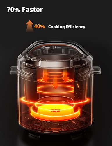 9-in-1 Pressure Cooker and Air Fryer