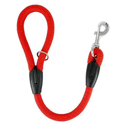 Correa de Nylon Grueso para Perros AVANZONA Cover