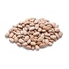 Aiva Pinto Beans 10 lbs Bulk Bag | Premium Quality Dried Beans for Cooking, Soups, Stews, and Meal Prep