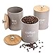 Fasmov Set of 3 Kitchen Canister Set, Coffee, Sugar, and Tea Storage Container Jars with Bamboo Lids for storing Sugar, Coffee and Tea, Gray