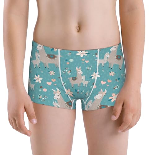 Boys' Cotton Boxer Brief Soft Underwear-Teal Mama Llama