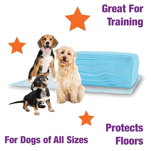 Image of Cudlie Training Pads for Dogs, 30 Count ,22 inchx22 inch| Puppy Pee Pads for Dogs | Absorbent Dog & Puppy Supplies for Dog Training and House Training