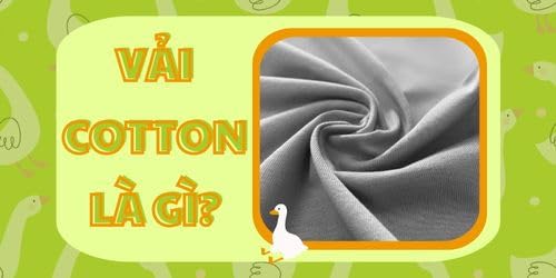 Vải cotton l&agrave; g&igrave;? T&iacute;nh ứng dụng của loại vải n&agrave;y trong may mặc