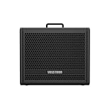 Amplificador para Guitarra 10 Pol 40W Vosstorm GX-10 - PRETO - 110V/220V