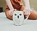 Silver Buffalo Harry Potter Hogwarts House Crest Sculpted Owl Handle Coffee Ceramic Mug, 20 Ounces White